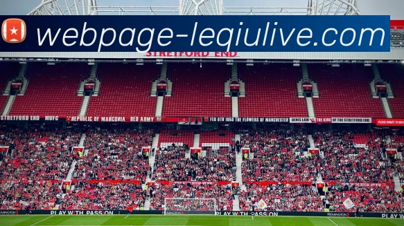 乐球直播服务体系