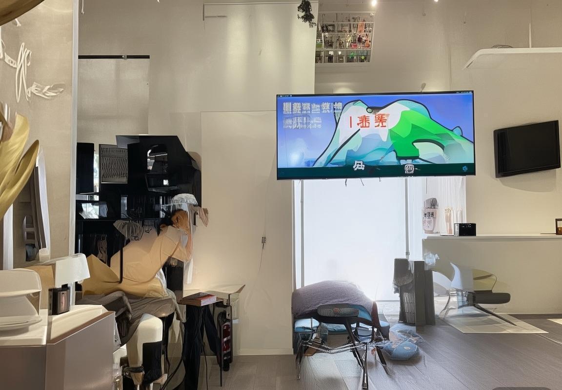 广州BVS1直播全景解析：技术特色、内容创新与未来展望